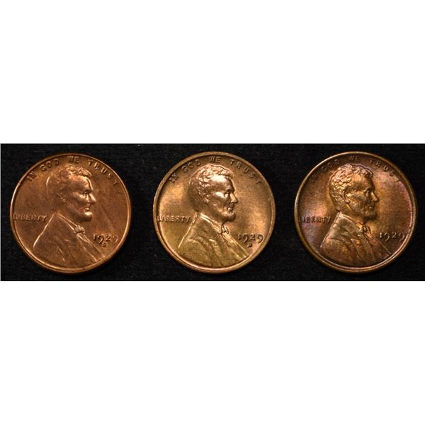 1929-P,D,S LINCOLN CENTS CH BU RB