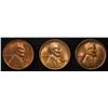 Image 1 : 1929-P,D,S LINCOLN CENTS CH BU RB