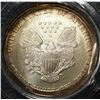 Image 3 : 2003 AMERICAN SILVER EAGLE