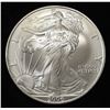 Image 1 : 2006 AMERICAN SILVER EAGLE