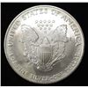 Image 2 : 2006 AMERICAN SILVER EAGLE