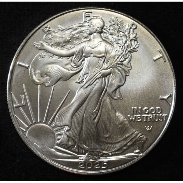 2025 AMERICAN SILVER EAGLE