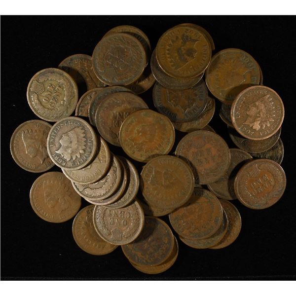 (50) INDIAN CENTS
