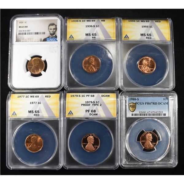 (6) GRADED LINCOLN CENTS
