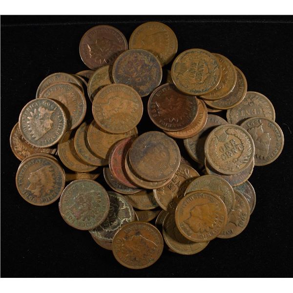 (50) INDIAN CENTS