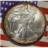 Image 2 : 2000 AMERICAN SILVER EAGLE