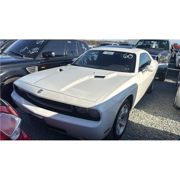 DODGE CHALLENGER 2009 T