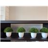 Image 1 : Decorative Shelf Lot with Artificial Plants, Ceramic Vases, and Wooden Boxes