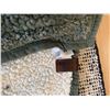 Image 9 : Five Assorted Decorative Pillows and Roots Home Sherpa Throw
