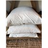 Image 1 : Three White Square Throw Pillows