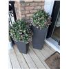 Image 2 : Tall Black Planters with Artificial Pink Flowers