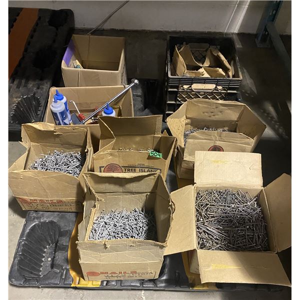 Large lot of nails and more