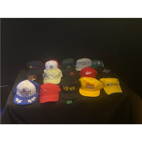 15 Ball caps