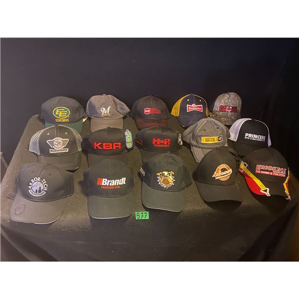 15 Ball caps