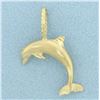 Image 1 : Dolphin Pendant in 14k Yellow Gold