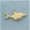 Image 1 : Dolphin Charm in 14k Yellow Gold