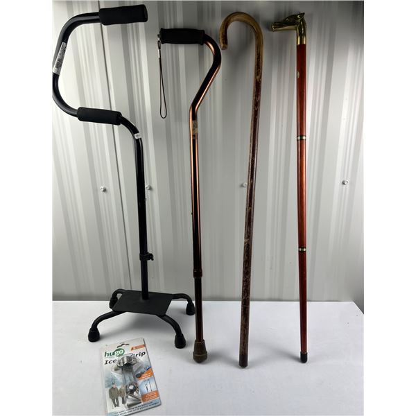 Canes & Walking Sticks