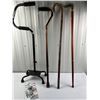 Image 1 : Canes & Walking Sticks