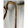 Image 4 : Canes & Walking Sticks