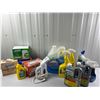 Image 1 : Cleaning Lot