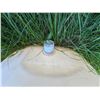 Image 2 : Poly Tank