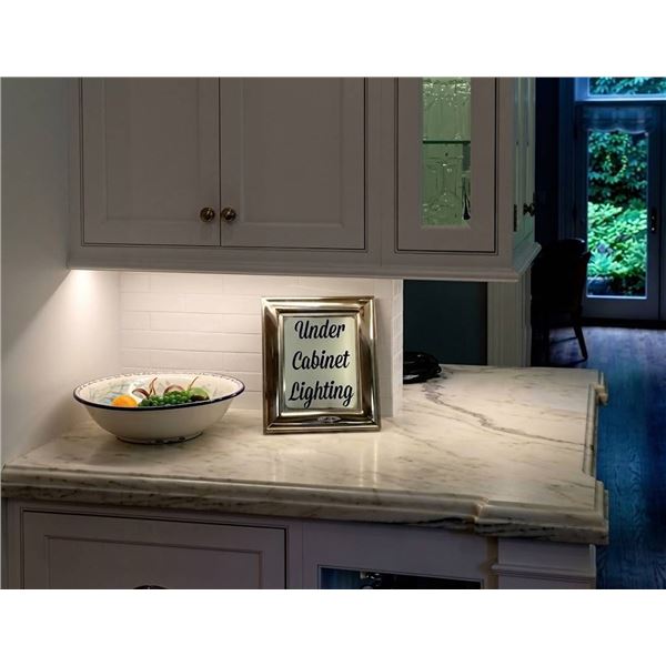 24 in. Plug-In Hardwired LED Light Fixture