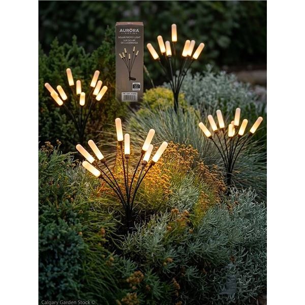 Aurora Solar Firefly Light Pack of 4