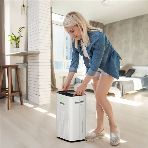 Hogarlabs PD08G-20 Dehumidifier