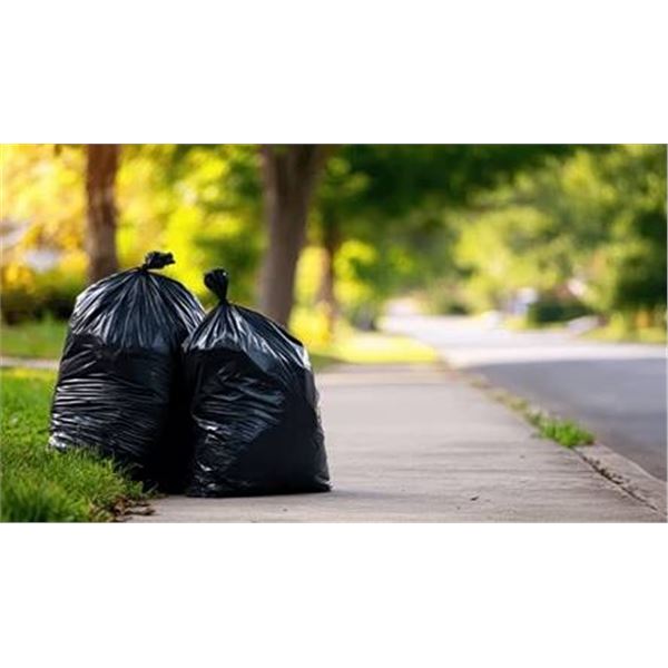 Maximum 42x48 Inch Clear Garbage Bags 100ct