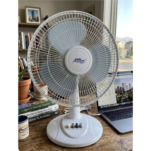 Cool Works 12-Inch Oscillating Desk Fan
