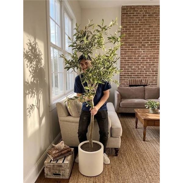 Artificial Potted Olive Tree Decor, 2M