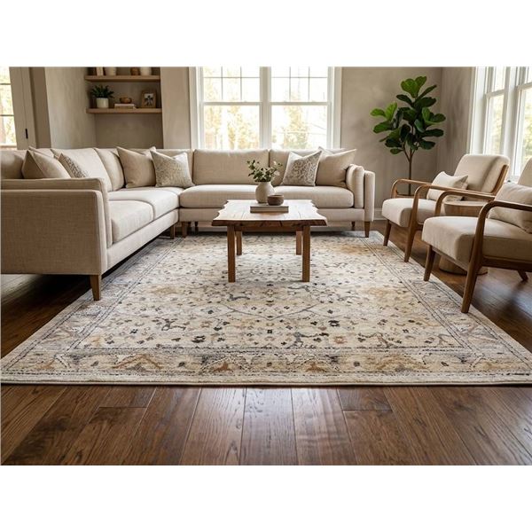 Gertmenian Solaris Area Rug 6'6" x 9'