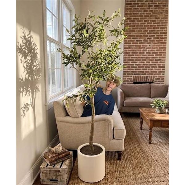 Artificial Potted Olive Tree Decor, 2m