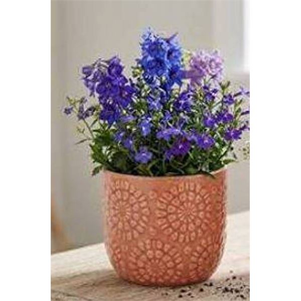 Stone & Beam Floral Embossed Planter Small