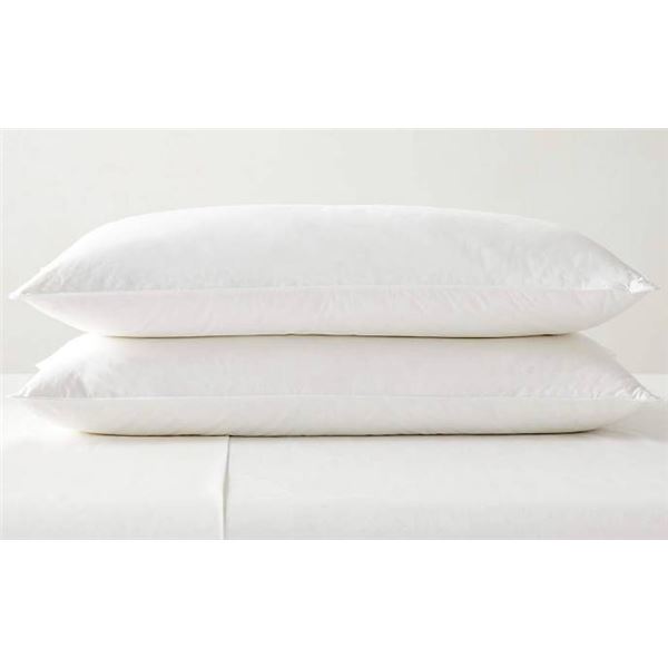 Calvin Klein Queen Grand Pillow 2-Pack