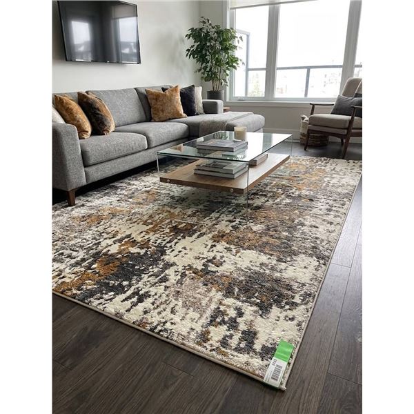 Two Area Rugs Assorted Patterns and Colors