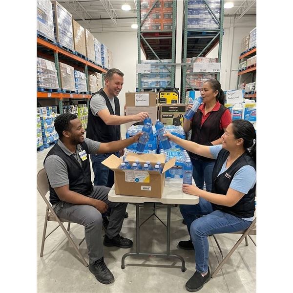 Kirkland Ionized Alkaline Water, 36 x 1L Bottles