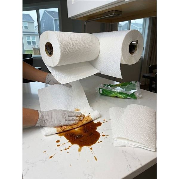 Bounty Plus Paper Towels 12 Rolls