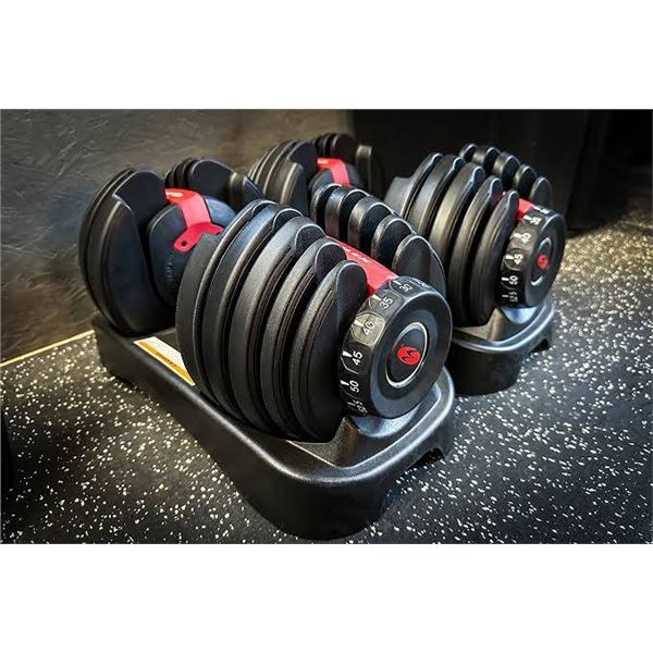 Bowflex SelectTech 552 Adjustable Dumbbell (2