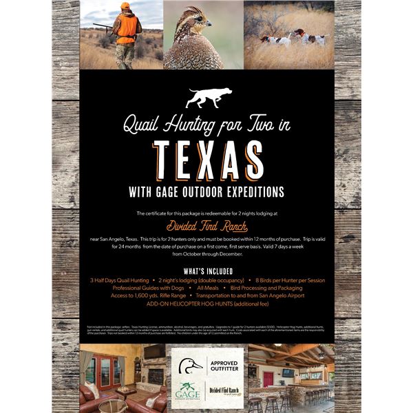 Quail Hunting in Texas for 2