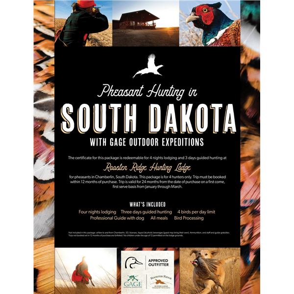 Pheasant Hunting in South Dakota for 4