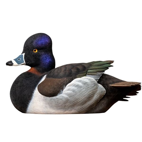 Ringneck Decoy of the Year