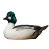 Image 1 : Goldeneye Decoy