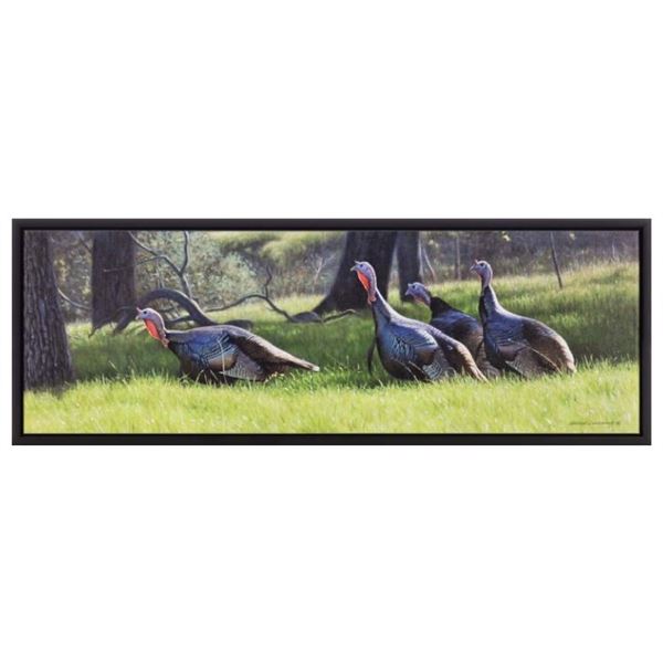 Spring Gobblers