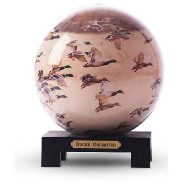Globe