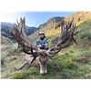 Image 2 : 6-day/7-night New Zealand Red Stag (two), Fallow, Tahr and Chamois Hunt for Five Hunters