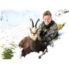 Image 4 : 6-day/7-night New Zealand Red Stag (two), Fallow, Tahr and Chamois Hunt for Five Hunters