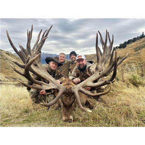 6-day / 7-night red stag (two) tahr and chamois hunt for 4 hunters