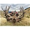 Image 1 : 6-day / 7-night red stag (two) tahr and chamois hunt for 4 hunters
