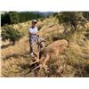 Image 2 : 6-day / 7-night red stag (two) tahr and chamois hunt for 4 hunters